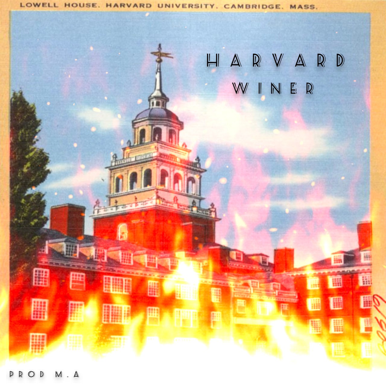 وینر - هاروارد